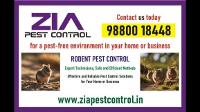 Rodent Control Services | Pest Control Pricing Rs. 1200 | For Paying Guests | Call 8074